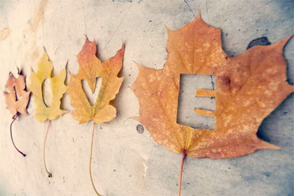 Khi tình yêu không còn, có thể nói, thức ăn tinh thần tự nhiên biến mất, để lại những kích thích tố như cortisol và adrenaline gây căng thẳng. Kết quả là, các kích thích tố tích lũy dần và có thể gây hại cho sức khỏe của bạn. Quá thừa hoocmon cortisol làm cho não phải đưa máu nhiều hơn đến các cơ bắp khiến chúng càng căng thẳng hơn.