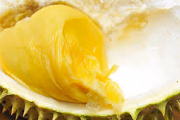 Do trong sầu riêng có chứa một lượng lớn dầu có sulfur kết hợp với cafein trong cà phê gây ức chế hoạt động của men aldehyd dehydrogenase, nguyên nhân dẫn đến 70% chất oxy hoá trong tế bào không được chuyển hoá và từ đó gây độc cho cơ thể.