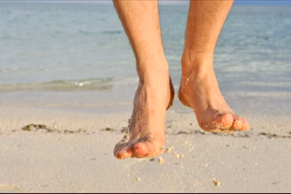 Nguyên nhân chính được các nhà khoa học đinh ninh chúng ta phải tiếp đất ,rằng nó sẽ giúp bạn trung hòa điện tích dương của các “gốc tự do” do tiếp xúc với ô nhiễm thủy ngân, thuốc lá, chất diệt côn trùng, thuốc trừ sâu, chất béo chuyển hóa, phóng xạ, và nhiều chất độc hại khác sẽ liên tục làm suy yếu điện tử trong cơ thể bạn.