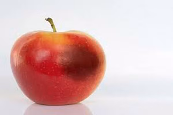 Da dễ bầm hơn. Chỉ cần một vết sưng nhỏ đã để lại màu tím trên da. Đó là vì làn da bạn mỏng hơn và không còn nhiều tế bào bảo vệ bên ngoài, cộng với các mạch máu của da mong manh hơn.