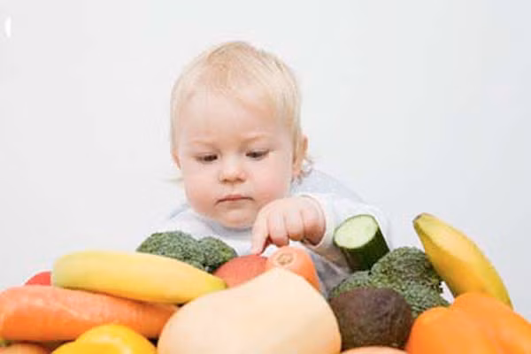 Tuy hoa quả và rau đều chứa nhiều chất xơ nhưng chúng là hai loại thực phẩm có thành phần dinh dưỡng khác nhau, nếu chỉ ăn một trong hai loại đó thì cơ thể sẽ không đủ chất.