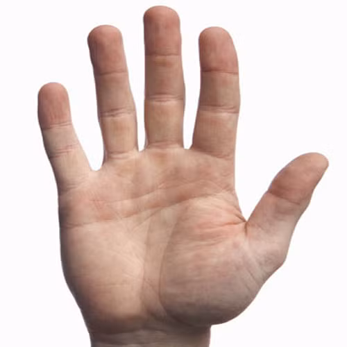 3. Bài kiểm tra bằng ngón tay. Rất đơn giản, bạn hãy giữ bàn tay của mình bằng phẳng và quan sát độ dài giữa các ngón. Theo một nghiên cứu tại trường Đại học Nottingham, Anh, nếu như ở phụ nữ ngón trỏ ngắn hơn ngón tay đeo nhẫn, có nguy cơ mắc các bệnh thoái hóa khớp gối hoặc xương hông.