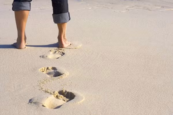 Clinton Ober, người khởi xướng cho phương pháp tiếp đất và đồng tác giả cuốn sách “Tiếp đất” cho hay, ít hoặc không tiếp xúc với đất có thể là mối đe dọa tiềm tàng đối với hầu hết các bệnh mãn tính - một hiện tượng mà ông gọi là “hội chứng suy giảm điện tử” (electron deficiency syndrome).