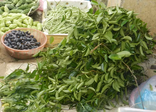 Cây vón vén. Cây vón vén là một loại cây thân dây leo, lá có vị chua, lá xanh mọc đối xứng, tươi tốt quanh năm, mùa hè ra hoa nhỏ li ti màu hồng nhạt. Cây này thường mọc ở trong rừng. Nó có vị chua chua, thường được dùng để nấu canh chua, đặc biệt dùng nấu với cá hoặc xương thì ngon chưa từng thấy.