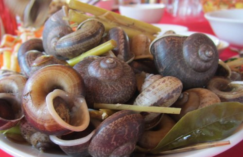 Ốc núi luộc. Ốc núi Ninh Bình có vị ngọt tự nhiên, đậm đà. Ốc núi sau khi bắt về được rửa sạch và đem luộc cùng sả. Thực khách có thể ăn không để cảm nhận vị ngọt tự nhiên của ốc hoặc chấm cùng nước mắm chanh ớt.