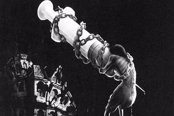 Nếu như, các cơ quan phối hợp không chặt chẽ sẽ khiến bạn chao đảo không giữ được thăng bằng. Đây là dấu hiệu bệnh thần kinh do tiểu đường, đa xơ cứng, các vấn đề với tai trong, hẹp ống sống thắt lưng hoặc bệnh về thoái hóa. Bài kiểm tra này đôi khi cũng được sử dụng như là thử nghiệm liệu có nhiễm độc hay sử dụng ma túy.