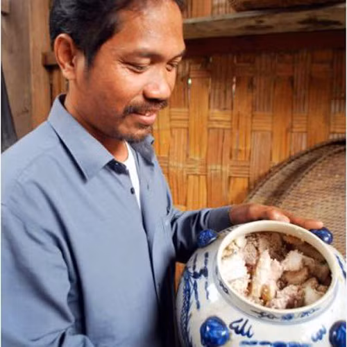 Thịt lợn muối chua Quảng Nam. Đây là món ăn dân dã của người Cơ Tu sinh sống lâu đời trên dãy Trường Sơn. Thịt muối chua của người Cơ Tu là dùng cơm hoặc thính bắp để lên men cho thịt.