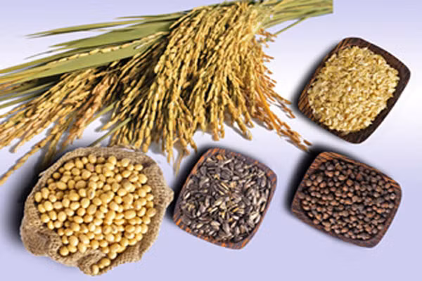 Bữa ăn chỉ có ngũ cốc mà thiếu đạm thì não sẽ hoạt động kém linh hoạt, dễ buồn ngủ. Vì vậy, mẹ chỉ nên cho bé ăn một lượng ngũ cốc vừa phải. Trong bữa ăn hằng ngày của bé, ngũ cốc cần được cân đối hợp lý cùng với các thực phẩm thuộc nhóm giàu đạm thịt, cá, trứng…