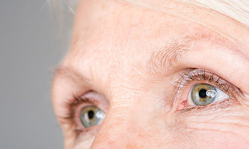 Theo các nhà khoa học, gen liên quan đến việc trẻ hóa cũng có ảnh hưởng đến việc kéo dài tuổi thọ.