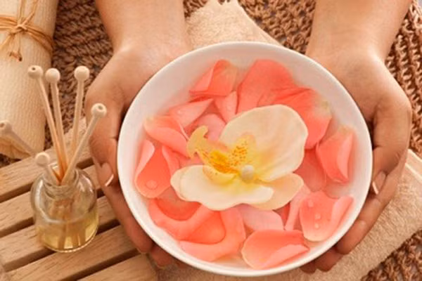 Quả của một số loại hoa hồng (phần dùng gieo hạt) là nguồn vitamin A, B3, C, D và E tuyệt vời. Chúng cũng chứa flavonoid, fructose, acid malic, tannin và kẽm. Dùng phần này để làm trà uống, tốt cho bệnh nhiễm trùng, đặc biệt nhiễm trùng bàng quang. Loại trà này cũng được dùng chữa bệnh tiêu chảy.