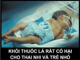 4. Khói thuốc lá rất có hại cho thai nhi và trẻ nhỏ