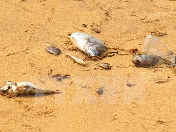 Ảnh minh họa. (Nguồn: TTXVN).