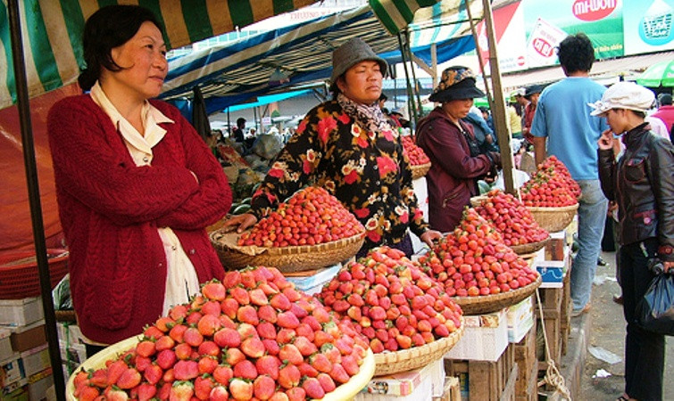 Bán dâu tây tại chợ Đà Lạt. (Ảnh minh họa)