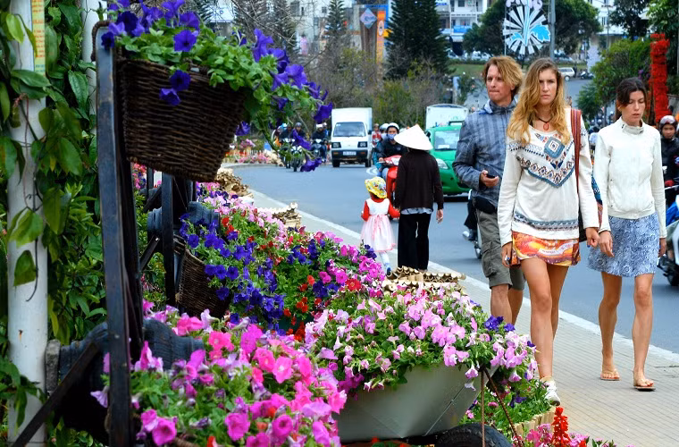  Hoa tràn xuống phố...