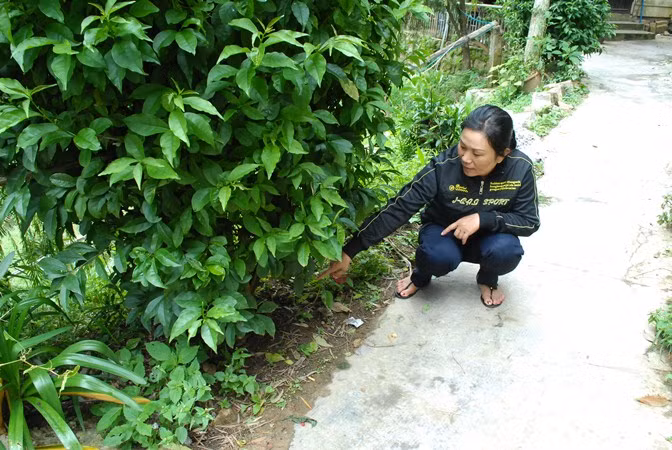 Vị trí chị Thúy phát hiện nồi cơm điện.