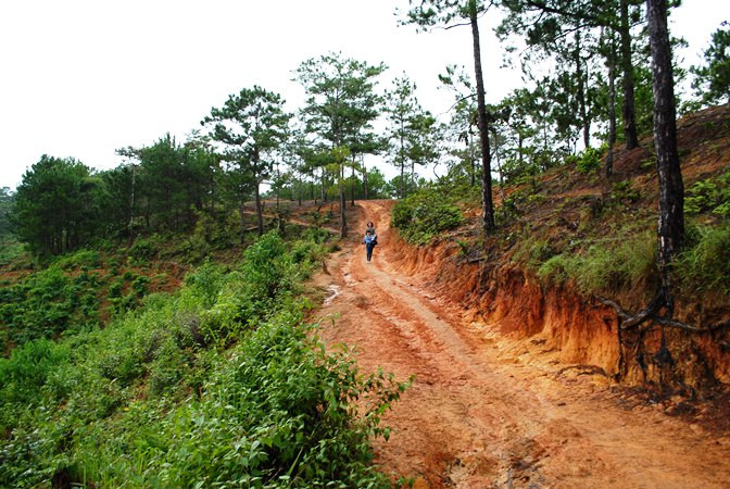 Đường vào đền Krayo.