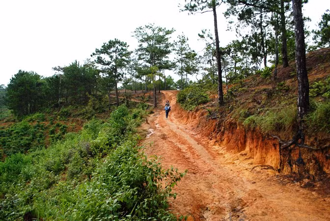 Đường vào đền Krayo.