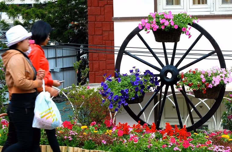  Hoa được gắn trên những bánh xe...