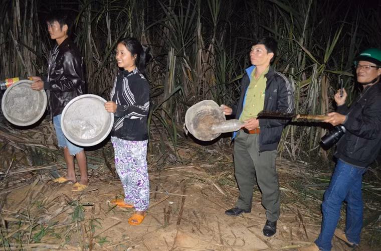 Ông Trương Thanh Tùng, Phó chủ tịch UBND huyện Cư Jút, kiến nghị Cục Kiểm lâm chỉ đạo lực lượng chức năng dùng voi nhà để xua đuổi voi rừng về lại Vườn Quốc gia Yók Đôn. Tuy nhiên, ông Huỳnh Trung Luân, Giám đốc Trung tâm Bảo tồn voi Đắk Lắk cho rằng, trước mắt địa phương cần phải tiếp tục tuyên truyền, hỗ trợ người dân dùng một số vật dụng phát ra âm thanh lớn để xua đuổi voi