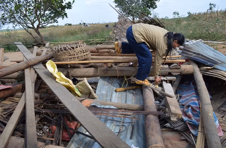 Do đàn voi này rất dữ tợn, tàn phá hoa màu, thường xuyên tấn công người xua đuổi nên cư dân địa phương đã đặt chông để bẫy chúng. Điều này có thể gây tổn hại đến voi rừng