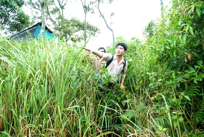 Lối ra vào đền cỏ mọc um tùm