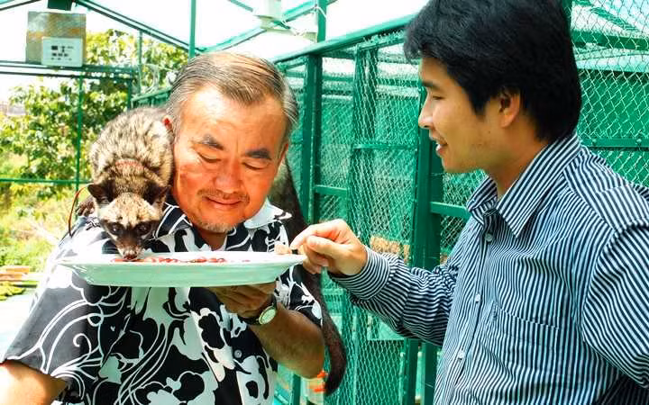 Những chú chồn được gia chủ huấn luyện đã tỏ ra bạo dạn trước chỗ đông người.