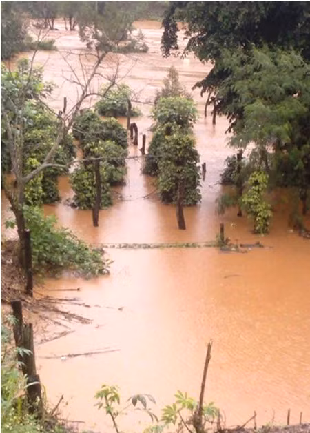 Nước lũ ngập trắng ruộng vườn.