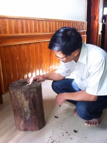 Giá gỗ trắc từ 600.000 đồng - 1,5 triệu đồng/kg.