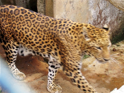 Ảnh minh họa. Ảnh minh họa.