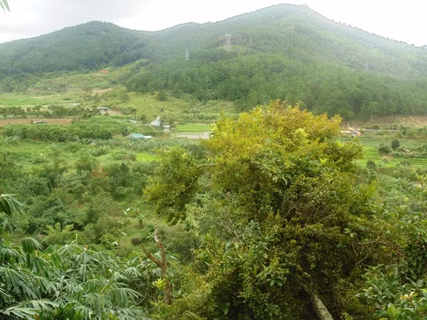 Vùng rừng núi giáp thị trấn Liên Nghĩa, huyện Đức Trọng.