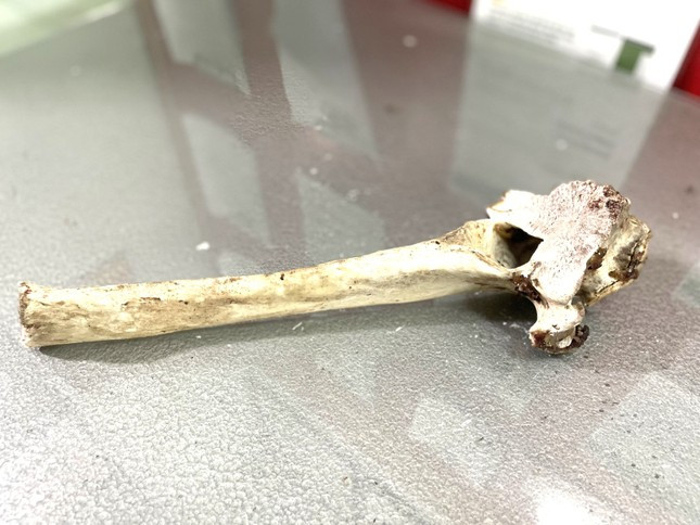 Tam giam nguoi dan ong dap vo kinh o to-Hinh-2