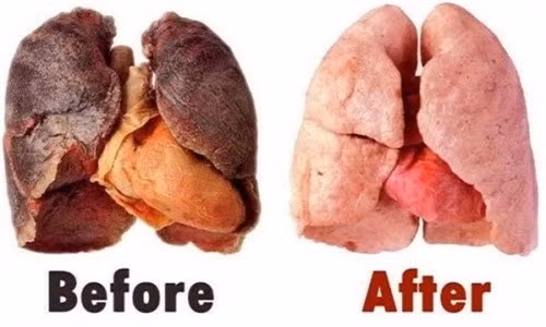 Một số loại thực phẩm, đồ uống giúp làm sạch phổi Mot so loai thuc pham, do uong giup lam sach phoi