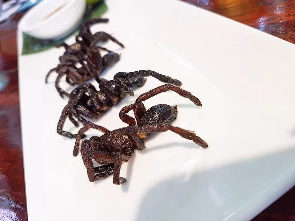  Nhện Tarantula (Campuchia): Tarantula rất phổ biến ở Campuchia với kiểu chế biến chiên giòn. Món ăn chắc chắn sẽ khiến những người sợ nhện phải tá hỏa khi trông thấy. Tuy nhiên, hương vị của món ăn này lại được nhiều du khách khen nức nở. Tarantula được chiên ngập dầu, tẩm ướp gia vị muối, mì chính, đường, tỏi... hấp dẫn. Ảnh: Min_fang. 