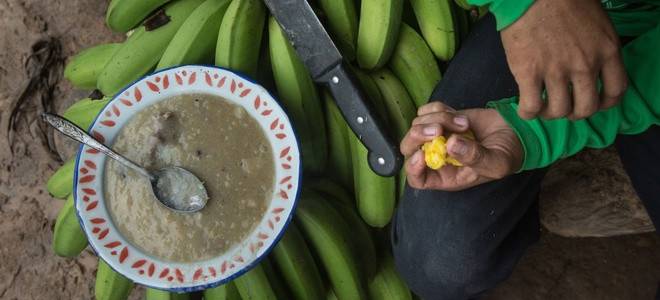 Ngoài ổi, chuối cũng là loại thực phẩm mà những người thổ dân có thể tìm thấy trong rừng. Họ có thể ăn những quả chuối chín hoặc nấu những quả chuối xanh thành một món sền sệt. Người ta cũng có thể nướng những quả chuối để ăn.