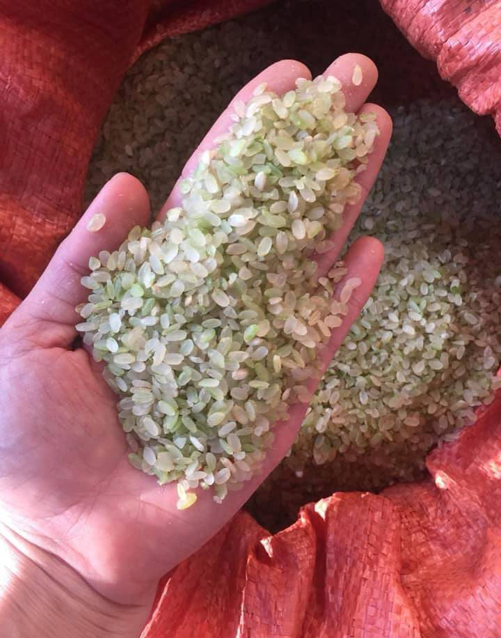 Dac san Yen Bai: Loai gao ngam suong, khong dam phoi nang-Hinh-2