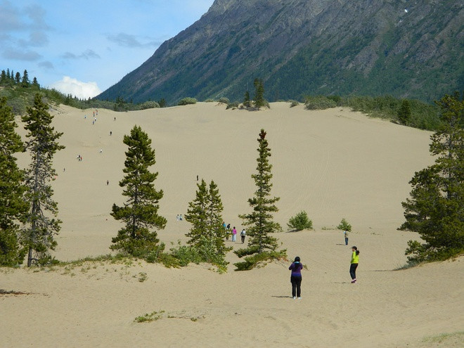 Theo BBC, với diện tích khoảng 2.58 km2, Carcross ở Canada được xem là sa mạc có diện tích nhỏ nhất thế giới. Đối với giới khoa học, Carcross là bài toán chưa có lời giải đầy đủ. Theo nhà địa chất học Panya Lipovsky từ Trung tâm Khảo sát Địa chất Yukon, Canada, sự độc đáo của sa mạc này là kết quả của 10.000 năm biến động tự nhiên. Nó bị đóng băng khoảng 11.000 đến 24.000 năm trước, với lớp băng dày tới 1 km phía trên.