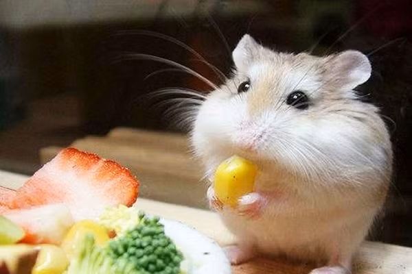 Top 4 con giap ban linh, luon coi kho khan la chuyen nho