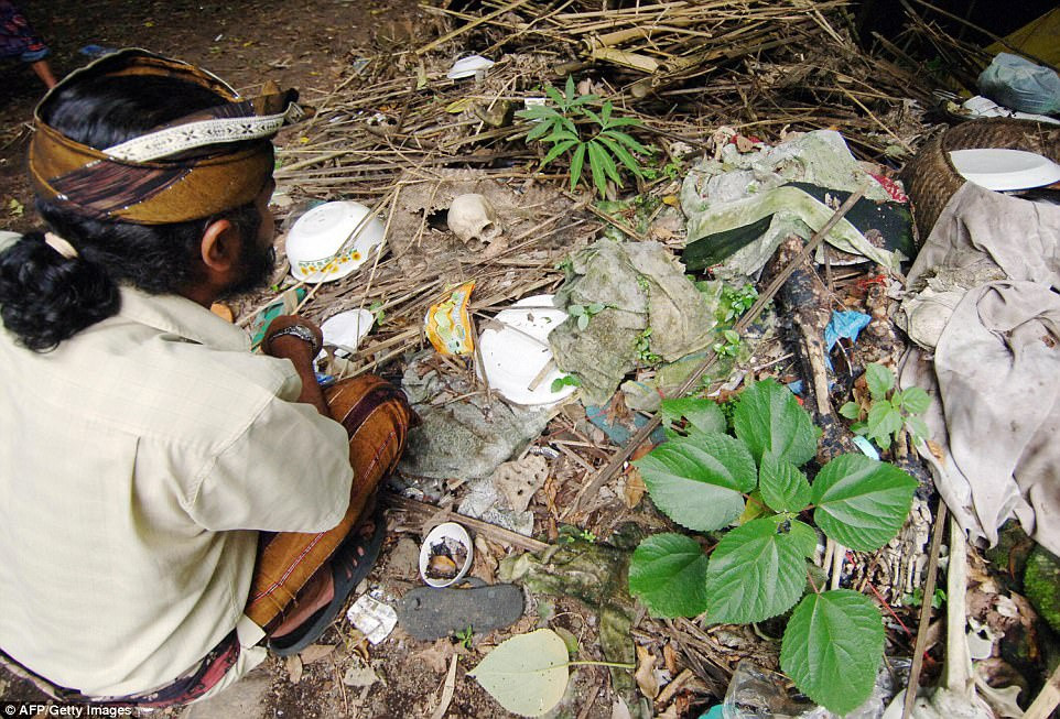 Dân làng đặt những cái lồng chứa xác chết gần gốc cây Taru Menyan, một loài cây có thể tỏa ra mùi hương lấn át mùi tử khí nồng nặc trong nghĩa trang. Ảnh: AFP.