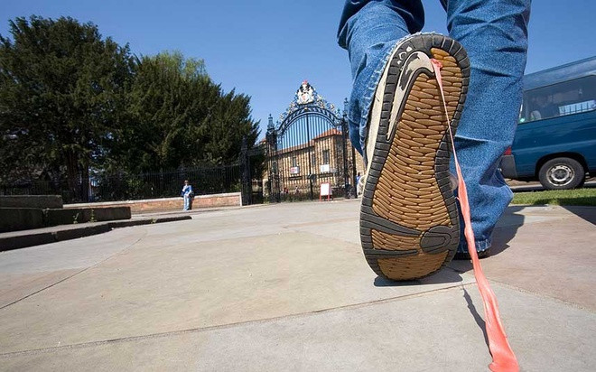 Theo sách “Những phong tục tập quán trên thế giới”, Singapore cấm nhập khẩu, bán kẹo cao su. Tại nước này, kẹo cao su chỉ được bày bán ở các cửa hiệu thuốc và người mua phải cung cấp đủ họ tên, địa chỉ. Lệnh cấm được ban hành vào năm 1992 do người dân nhả quá nhiều bã kẹo cao su ra đường phố và các phương tiện giao thông công cộng.