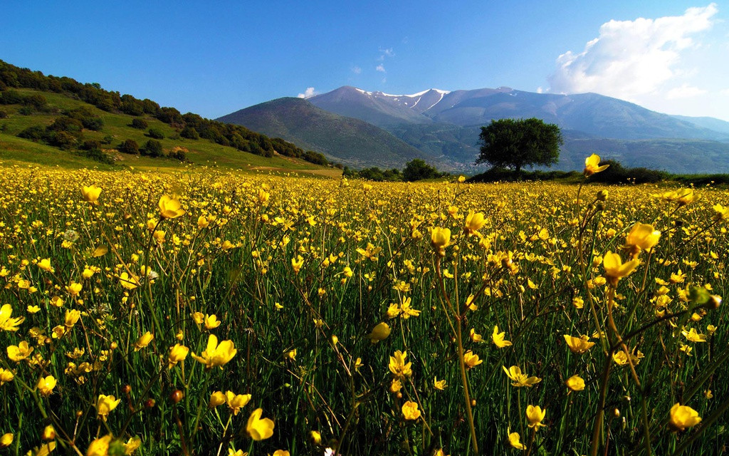 Năm 1981, UNESCO đã công nhận Olympus là khu dự trữ sinh quyển thế giới. Ảnh: Greek Experience.