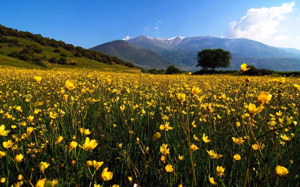 Năm 1981, UNESCO đã công nhận Olympus là khu dự trữ sinh quyển thế giới. Ảnh: Greek Experience.