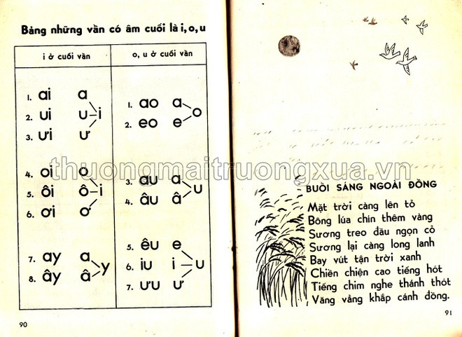Tương tự phần âm và chữ cái, nội dung của phần vần cũng được hệ thống lại, giúp học sinh ôn tập dễ dàng hơn.
