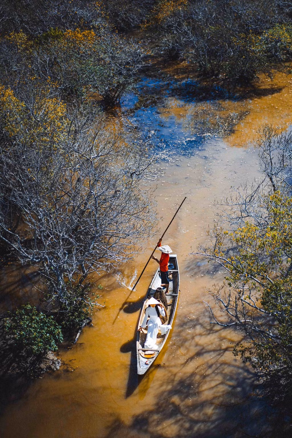 Đến đây, du khách nên tản bộ trên con đường nhỏ hoặc chèo thuyền để ngắm vẻ đẹp của những bộ rễ trăm năm tuổi, tận hưởng bầu không khí mát lành, dịu nhẹ trong tiết thu.