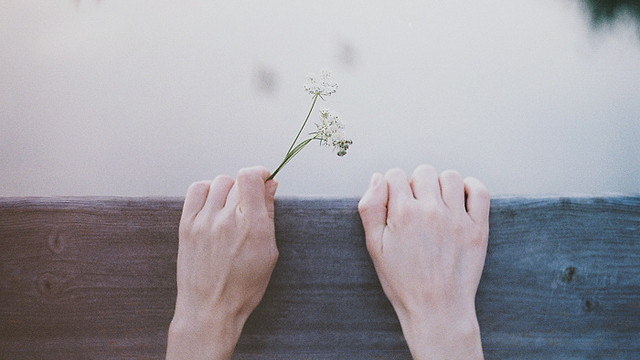 Cung hoang dao hom nay: Bach Duong thi phi, Kim Nguu su nghiep 