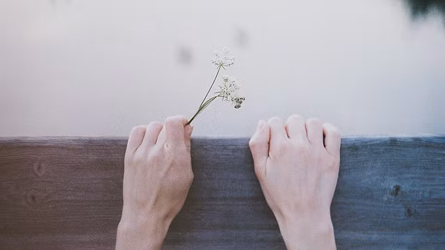 Cung hoang dao hom nay: Bach Duong thi phi, Kim Nguu su nghiep 