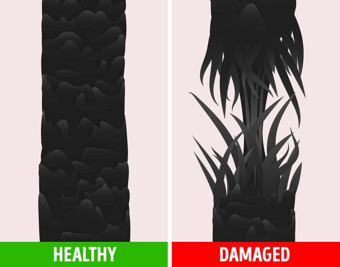 4 cach giup ban kiem tra suc khoe cua toc trong mua hanh kho-Hinh-3
