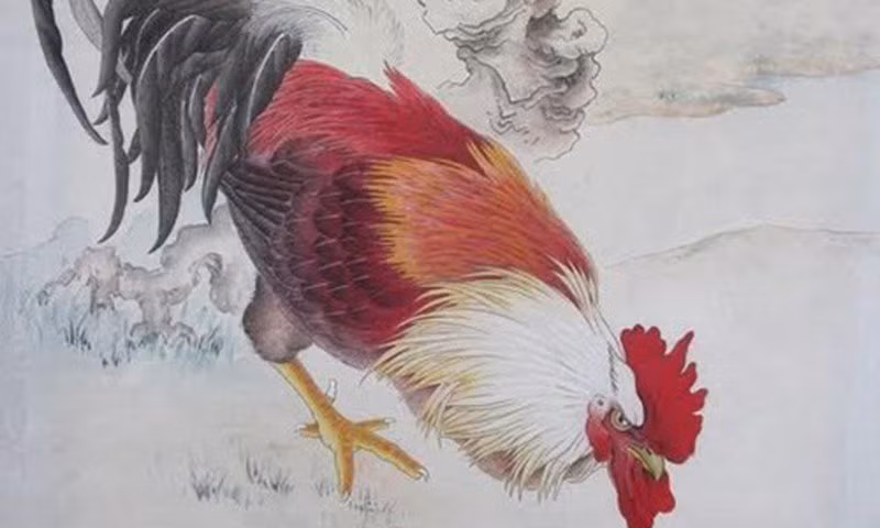 ##bc### Đây là điều tốt nhưng việc quá tỉ mỉ đôi khi cũng khiến cho người tuổi Dậu thêm vất vả và mệt mỏi cho bản thân. Xét về ngoại hình, người tuổi Dậu có ngoại hình đẹp và tạo được ấn tượng với người khác khi tiếp xúc.