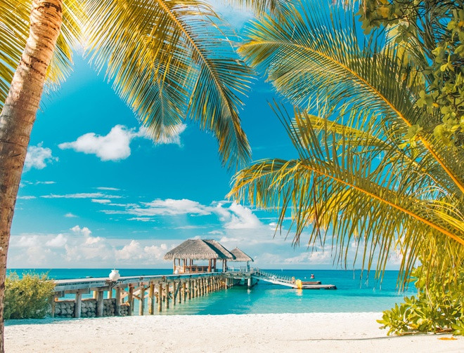 Thiên đường biển Caribbean là một trong những địa điểm thu hút du khách tới Barbados. Tới đây, bạn có thể thư giãn bên bờ cát trắng, tắm nắng, lặn biển và tham gia nhiều trải nghiệm khác đáng nhớ. Ảnh: TripSavvy.