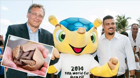 Linh vật của World Cup lần này là con Fuleco, thuộc loài Tatu. Fuleco có “nhiệm vụ” giải cứu loài thú quý hiếm, sắp tuyệt chủng mang tên armadillo.
