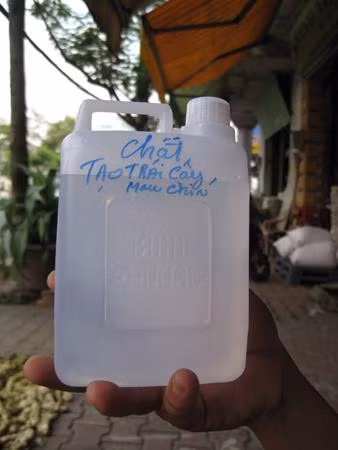 Dung dịch sền sệt như hồ dán giấy tập học sinh pha với nước phun vào trái cây kích thích mau chín.